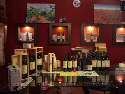 L�ultima tappa del nostro viaggio sulla �via del primitivo� ci porta alla cantina Angiuli di Adelfia, in un palazzo posto in via Principe Umberto 47